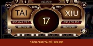 Cách Chơi Tài Xỉu Online Ăn Đậm, Lãi To Dành Cho Newbie