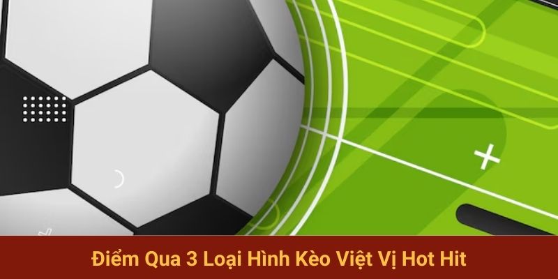 Điểm qua 3 loại hình việt vị hot hit