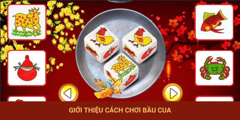 Giới thiệu cách chơi Bầu Cua