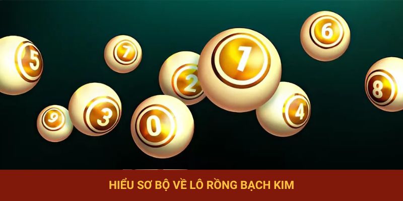 Hiểu sơ bộ về lô Rồng Bạch Kim