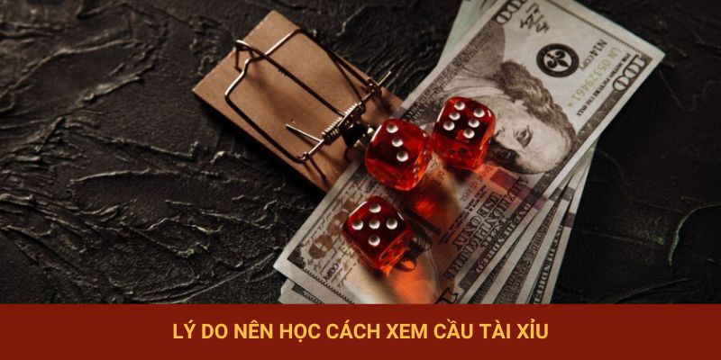 Lý do nên học cách xem cầu tài xỉu