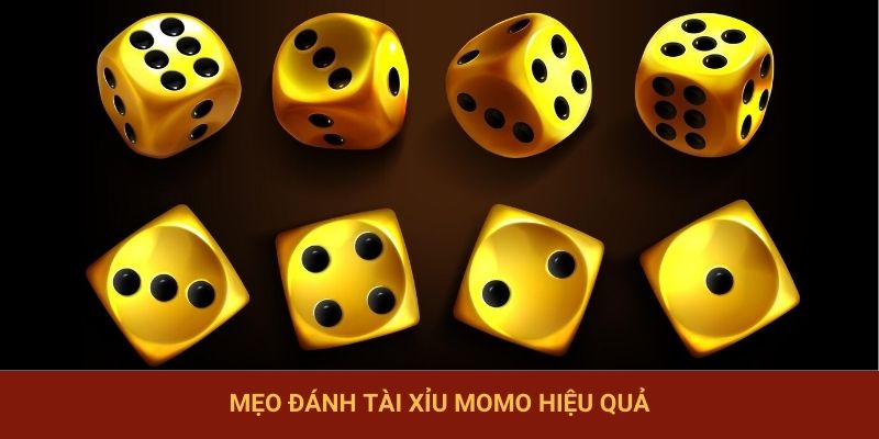 Mẹo tăng tỷ lệ thắng khi chơi tài xỉu Momo