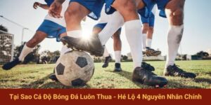 Tại Sao Cá Độ Bóng Đá Luôn Thua - Hé Lộ 4 Nguyên Nhân Chính