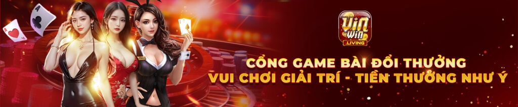 banner vinwin