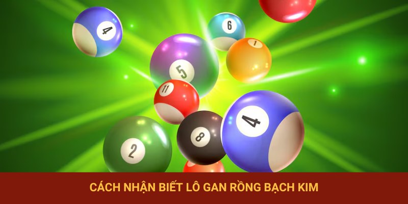 Cách nhận biết lô gan rồng bạch kim